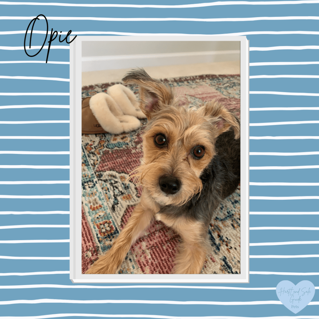 Opie Hart