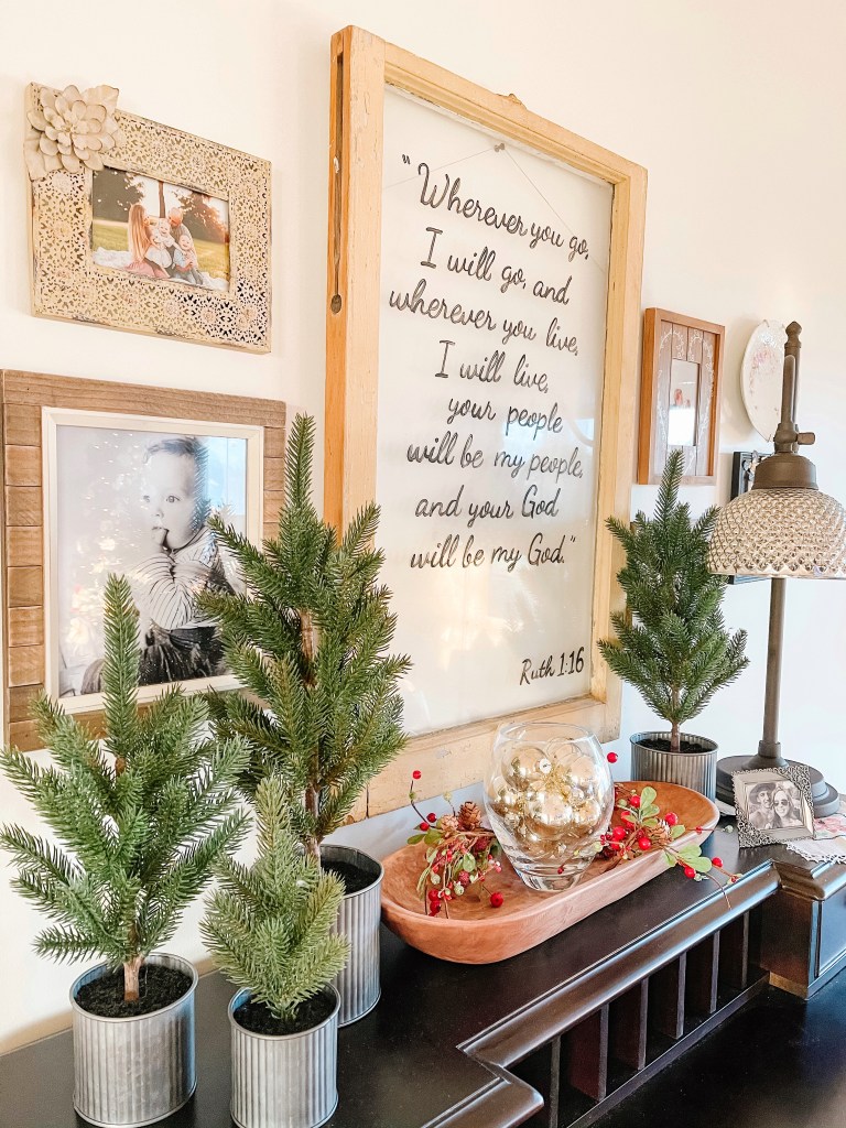 Christmas trees of varying sizes