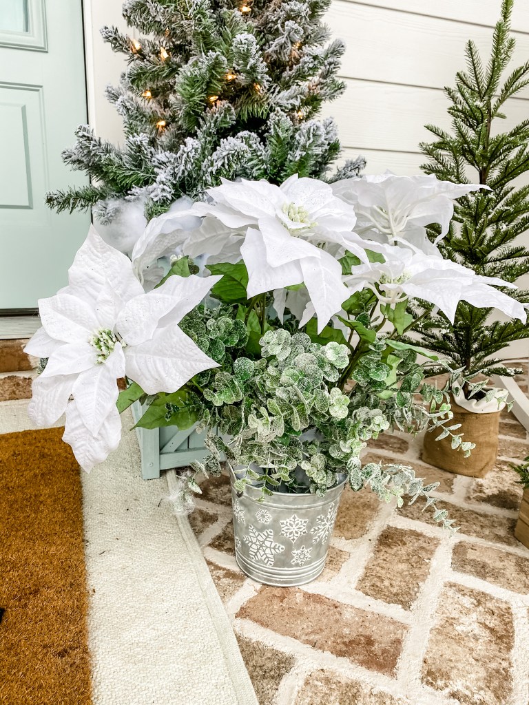 White Christmas Poinsettias 