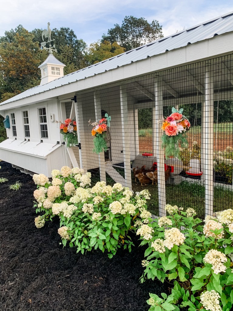 white chicken coop with flowerbed 