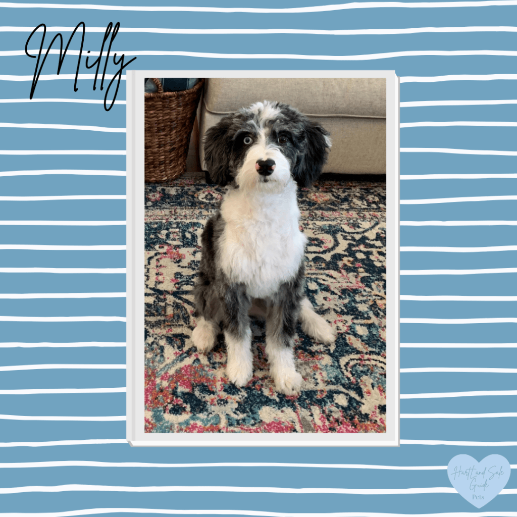 Milly Hart